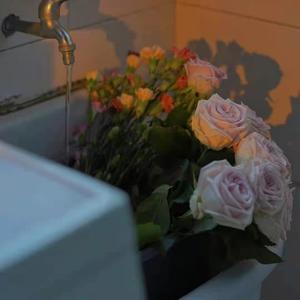 丰满浓密大荫蒂bbwbbb
