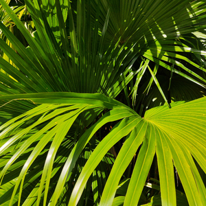 丰满浓密大荫蒂bbwbbb
